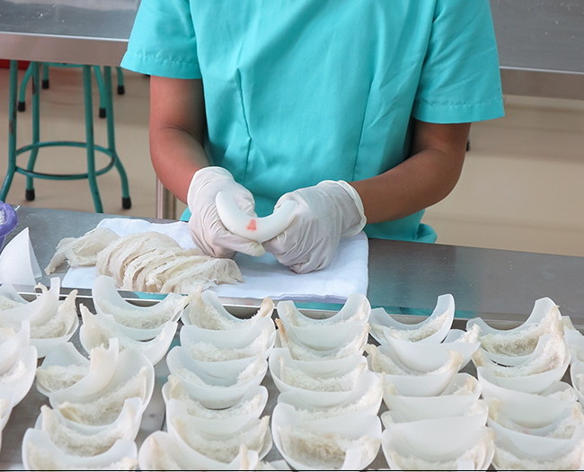 给已经清洗干净的燕窝定型